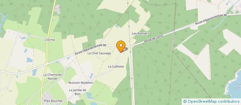 localisation de l'entreprise MONSIEUR CEDRIC DUFRESNE à BOUZY-LA-FORET