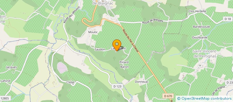 localisation de l'entreprise MONSIEUR CEDRIC DUMAS  LYON