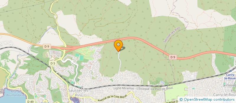 localisation de l'entreprise MONSIEUR CEDRIC FLASSEUR  SAUSSET-LES-PINS