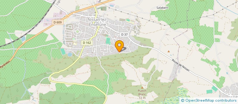 localisation de l'entreprise MONSIEUR CEDRIC FORNER  NISSAN-LEZ-ENSERUNE