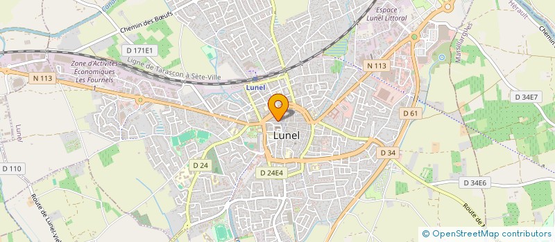 localisation de l'entreprise MONSIEUR CEDRIC GUILLERM à LUNEL