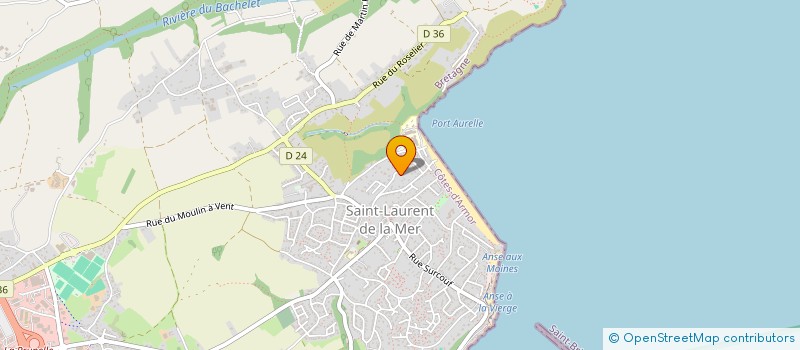 localisation de l'entreprise MONSIEUR CEDRIC LE VAILLANT  PLERIN