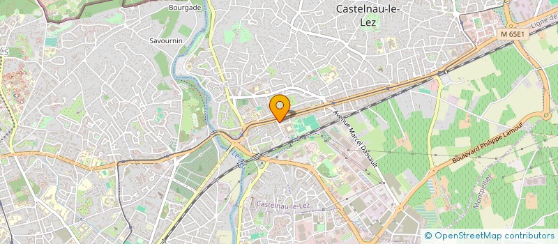 localisation de l'entreprise MONSIEUR CEDRIC LUNA à CASTELNAU-LE-LEZ
