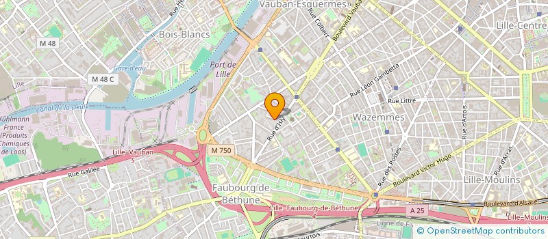 localisation de l'entreprise MONSIEUR CEDRIC MOREL-A-L'HUISSIER à LILLE