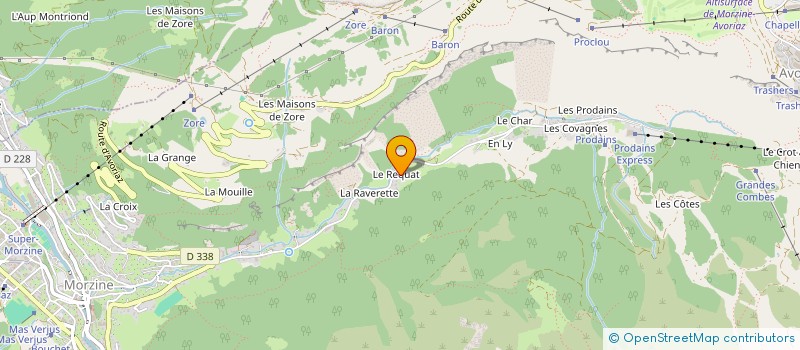 localisation de l'entreprise MONSIEUR CEDRIC MUZEAUX  MORZINE