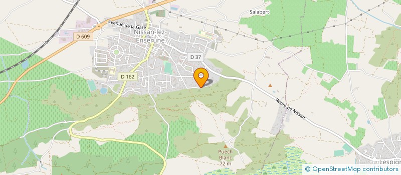 localisation de l'entreprise MONSIEUR CEDRIC PAPON  NISSAN-LEZ-ENSERUNE