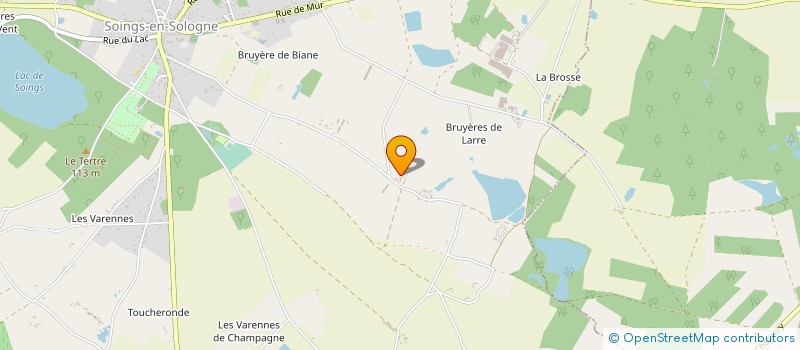 localisation de l'entreprise MONSIEUR CEDRIC PICARD  SOINGS EN SOLOGNE