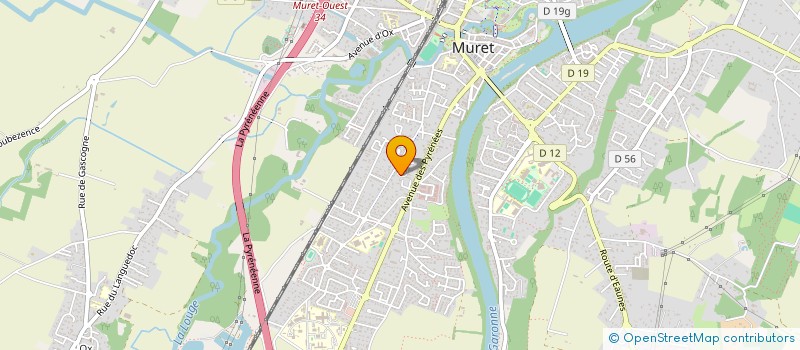 localisation de l'entreprise MONSIEUR CEDRIC PICHOT  MURET