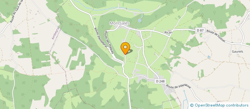 localisation de l'entreprise MONSIEUR CEDRIC RAYNAL  MONTSALES