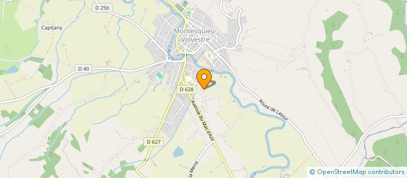 localisation de l'entreprise MONSIEUR CEDRIC RENAUDEAU à MONTESQUIEU-VOLVESTRE