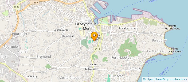 localisation de l'entreprise MONSIEUR CEDRIC RODRIGUES à LA SEYNE-SUR-MER