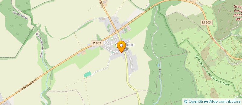 localisation de l'entreprise MONSIEUR CEDRIC ROGER à GRAVELOTTE