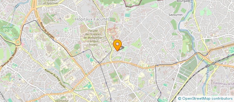localisation de l'entreprise MONSIEUR CEDRIC SALVAT à MONTPELLIER