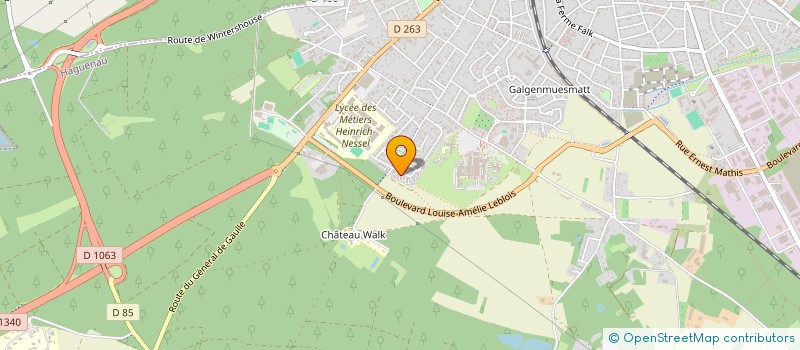 localisation de l'entreprise MONSIEUR CEDRIC SCHALLER  HAGUENAU