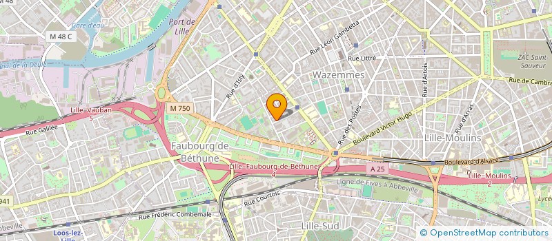 localisation de l'entreprise MONSIEUR CEDRIC SIDIBE à LILLE