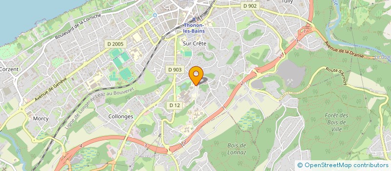 localisation de l'entreprise MONSIEUR CEDRIC SYLVESTRE à THONON-LES-BAINS