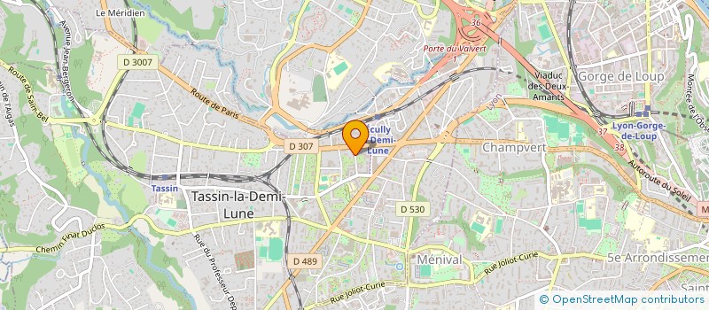 localisation de l'entreprise MONSIEUR CEDRIC TAGLANG  TASSIN-LA-DEMI-LUNE