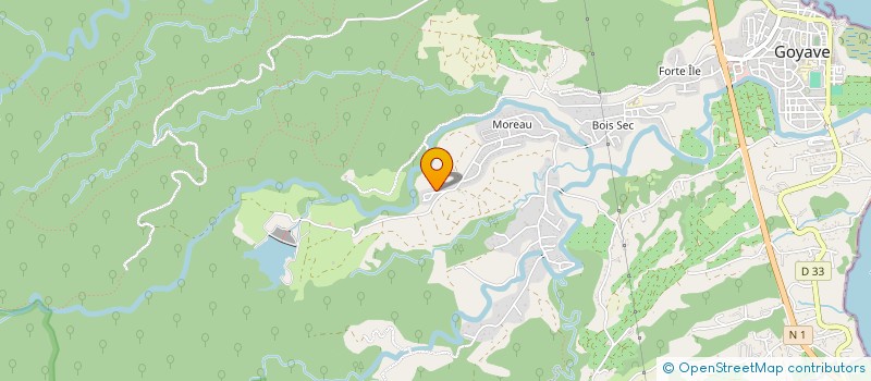 localisation de l'entreprise MONSIEUR CEDRIC TENDON  GOYAVE