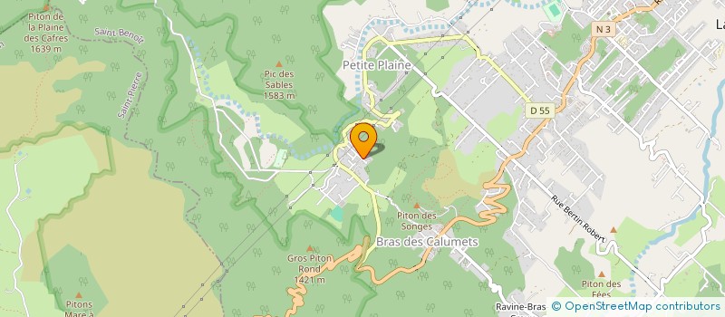 localisation de l'entreprise MONSIEUR CEDRIC THAMON  LA PLAINE-DES-PALMISTES