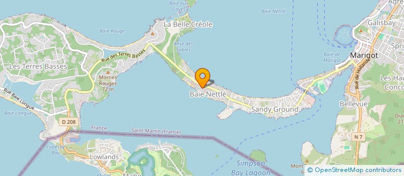 localisation de l'entreprise MONSIEUR CEDRIC THIBAUD  SAINT MARTIN