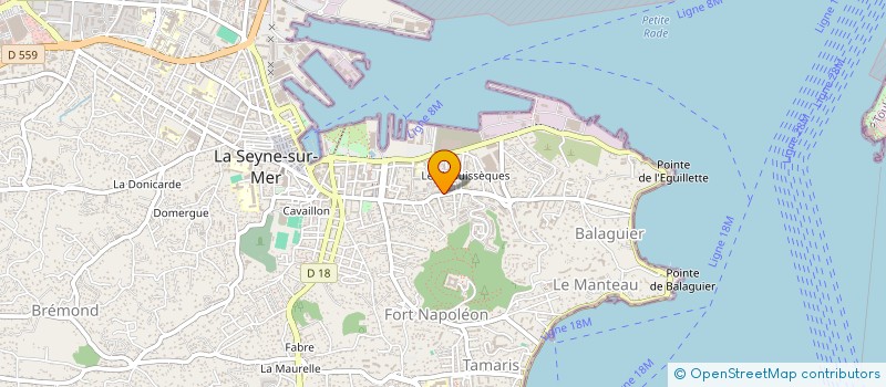 localisation de l'entreprise MONSIEUR CEDRIC VEYRON à LA SEYNE-SUR-MER