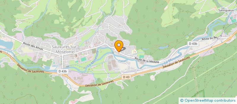 localisation de l'entreprise MONSIEUR CEDRIC VIOLA  SAULXURES-SUR-MOSELOTTE