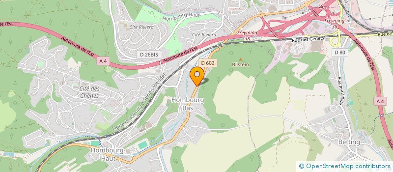 localisation de l'entreprise MONSIEUR CEDRICK YOMBA  HOMBOURG-HAUT