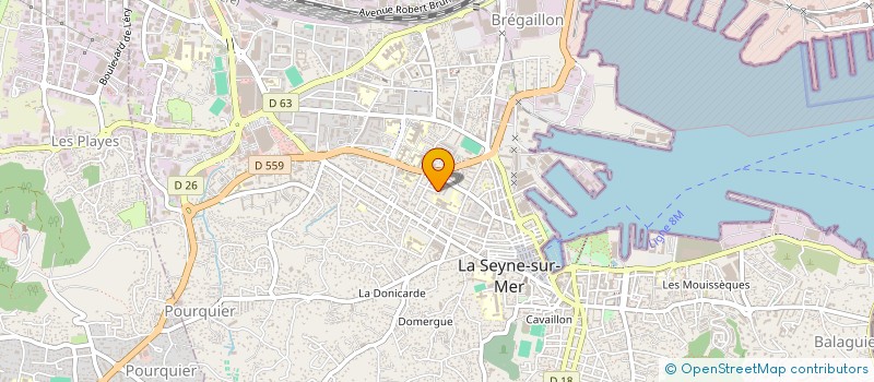 localisation de l'entreprise MONSIEUR CELESTIN HEREDIA à LA SEYNE-SUR-MER