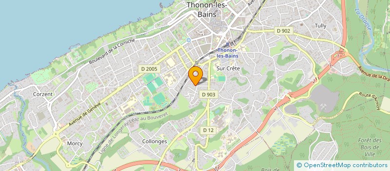 localisation de l'entreprise MONSIEUR CELESTINO VARELA GOMES à THONON-LES-BAINS