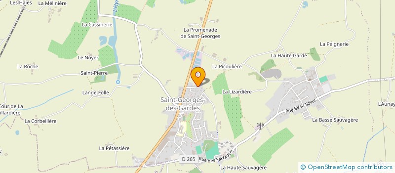 localisation de l'entreprise MONSIEUR CELIAN PITHON  CHEMILLE-EN-ANJOU