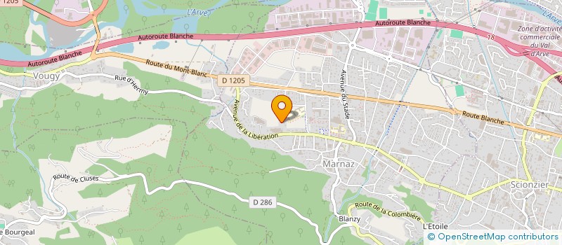 localisation de l'entreprise MONSIEUR CEM BINGOL  MARNAZ