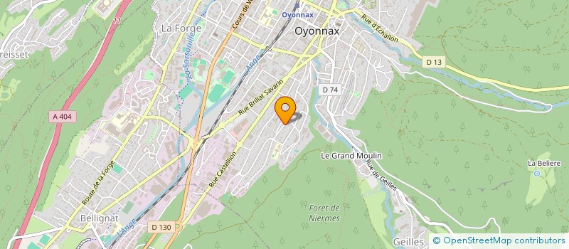 localisation de l'entreprise MONSIEUR CENGIZ YILDIZ à OYONNAX