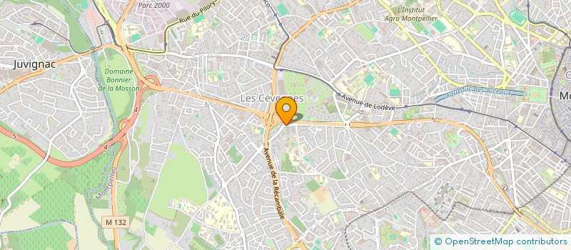 localisation de l'entreprise MONSIEUR CERONNE ROUILLON à MONTPELLIER