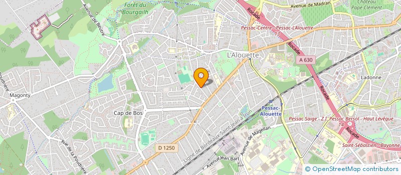 localisation de l'entreprise MONSIEUR CESAR ALVES à PESSAC