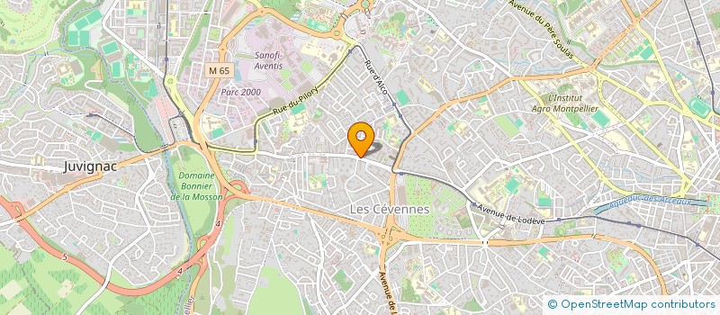 localisation de l'entreprise MONSIEUR CHAABANE SEDKAOUI à MONTPELLIER