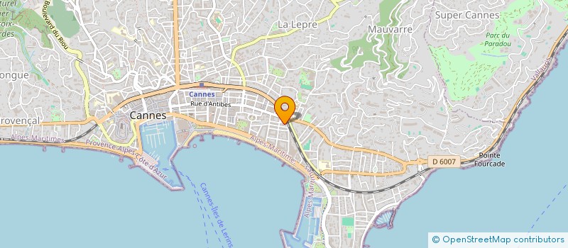 localisation de l'entreprise MONSIEUR CHADI ALNASSAN à CANNES