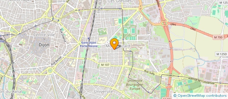 localisation de l'entreprise MONSIEUR CHADOULI SI MOHAMED à DIJON