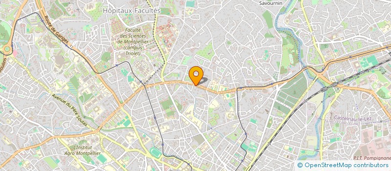 localisation de l'entreprise MONSIEUR CHAMESEDDINE SAHRAOUI à MONTPELLIER