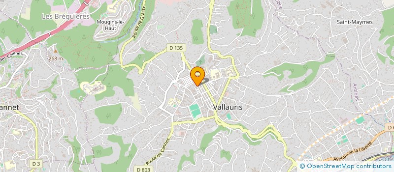 localisation de l'entreprise MONSIEUR CHANGXIANG ZHANG  VALLAURIS