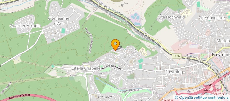 localisation de l'entreprise MONSIEUR CHAOUQUI NEGGAZ  FREYMING-MERLEBACH