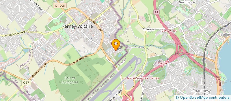 localisation de l'entreprise MONSIEUR CHARBEL-LOUIS TANNOUS à FERNEY-VOLTAIRE