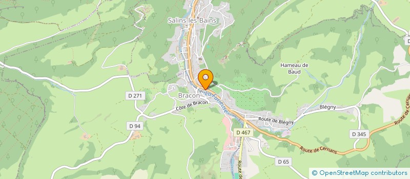 localisation de l'entreprise MONSIEUR CHARLES CLOVIS CHATELAIN  SALINS-LES-BAINS