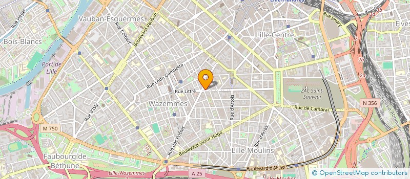 localisation de l'entreprise MONSIEUR CHARLES DALIA à LILLE