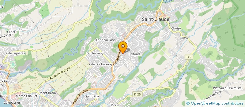 localisation de l'entreprise MONSIEUR CHARLES DEMONIO à SAINT-CLAUDE