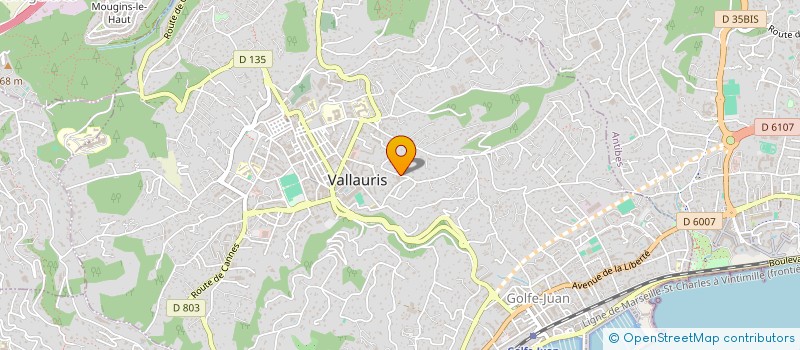 localisation de l'entreprise MONSIEUR CHARLES FLORIAN à VALLAURIS