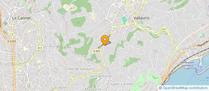 localisation de l'entreprise MONSIEUR CHARLES HAMON à VALLAURIS