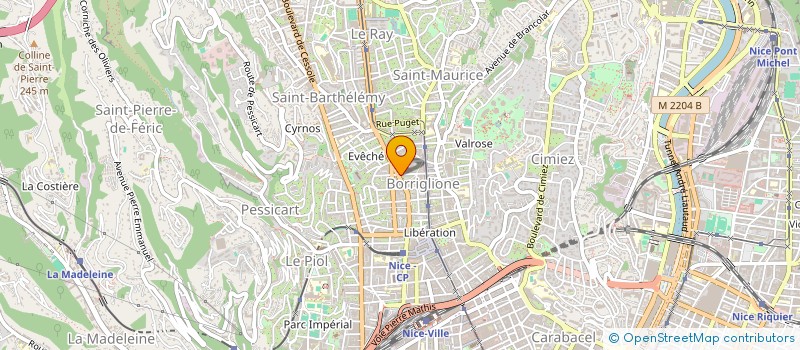 localisation de l'entreprise MONSIEUR CHARLES LERICHE à NICE