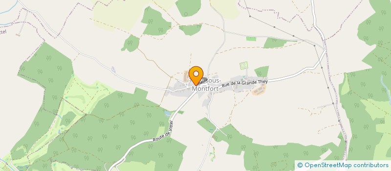localisation de l'entreprise MONSIEUR CHARLES MAIRE RICHARD  THEY-SOUS-MONTFORT