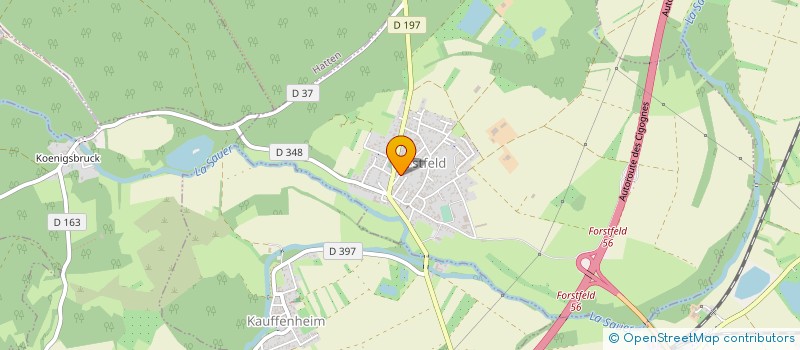 localisation de l'entreprise MONSIEUR CHARLES STAUDENMAIER  FORSTFELD