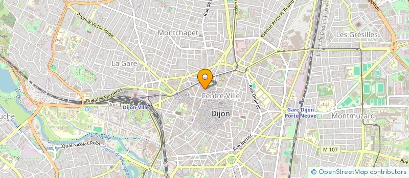 localisation de l'entreprise MONSIEUR CHARLES STEINKAMP à DIJON